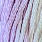 Wisteria